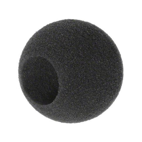 Sennheiser MZW 421-WS