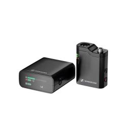 Profile Wireless 1-Channel Set - одноканальна бездротова
